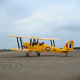 Avion Tiger Moth GP/EP ARF 140 cm de Phoenix Model