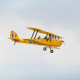 Avion Tiger Moth GP/EP ARF 140 cm de Phoenix Model