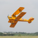 Avion Tiger Moth GP/EP ARF 140 cm de Phoenix Model